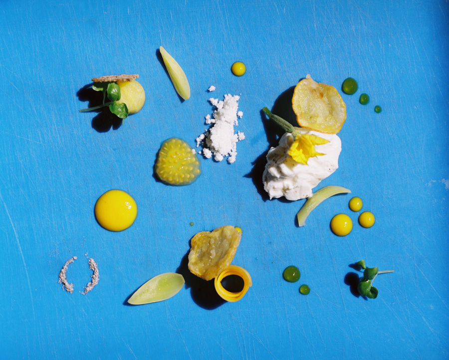 Nowness Natural fleur